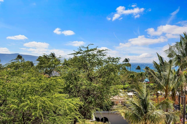 2219 S Kihei Rd Unit B312, Kihei, HI 96753 - water view
