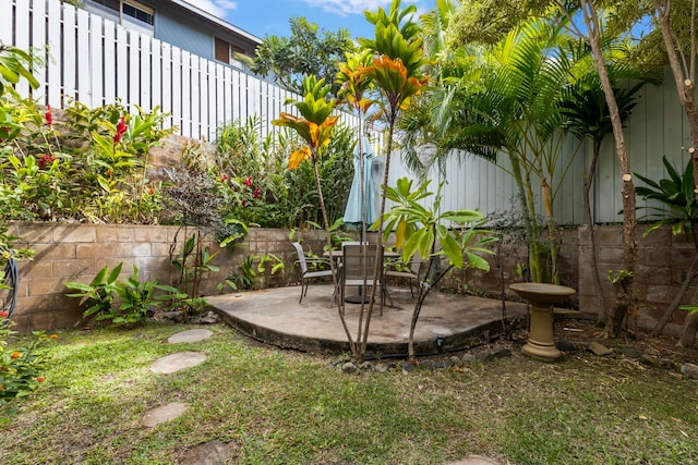 view of yard featuring a patio