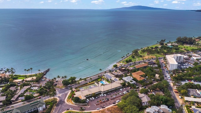 birds eye view of property with a water and mountain view