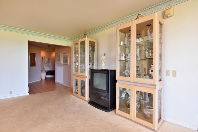 living room featuring light colored carpet