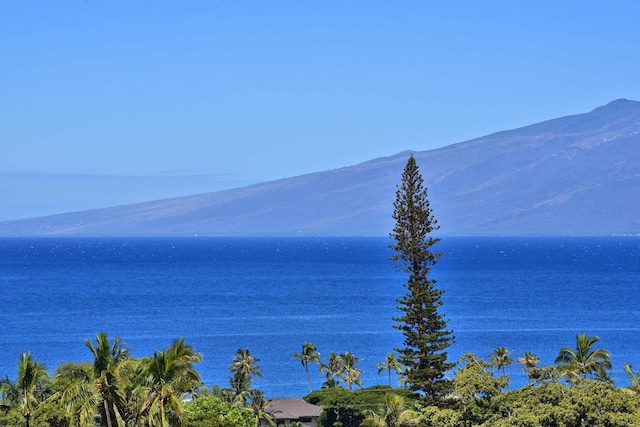 water view featuring a mountain view