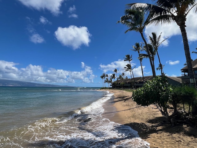 property view of water featuring a view of the beach