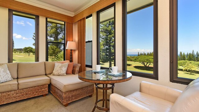 sunroom with a wealth of natural light