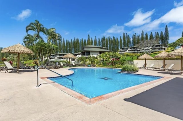 view of swimming pool with a patio area