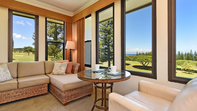 sunroom / solarium featuring a wealth of natural light