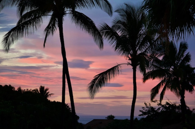 view of nature at dusk