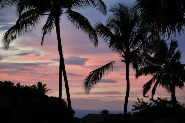 view of nature at dusk