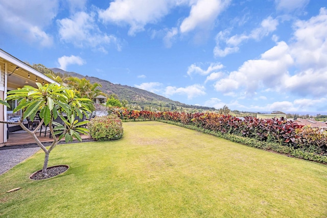 235 Kilioopu St, Wailuku, HI 96793 - view of green lawn with a mountain view