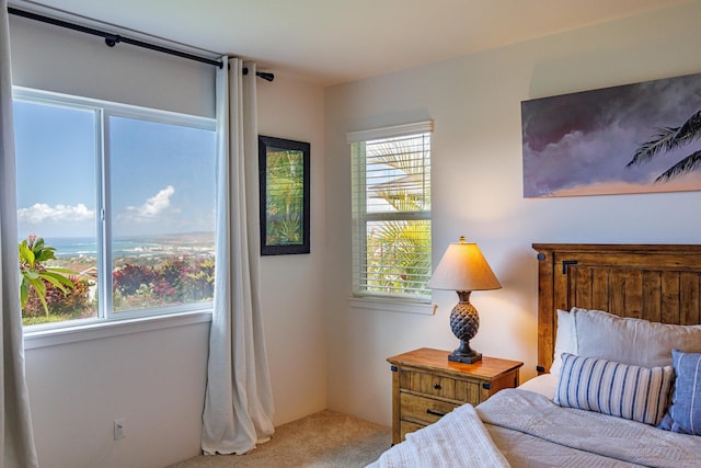 235 Kilioopu St, Wailuku, HI 96793 - bedroom featuring carpet and multiple windows