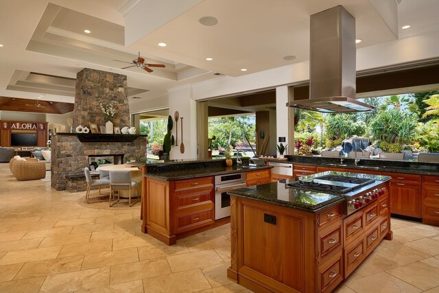 kitchen with a center island, open floor plan, a fireplace, island exhaust hood, and stainless steel appliances