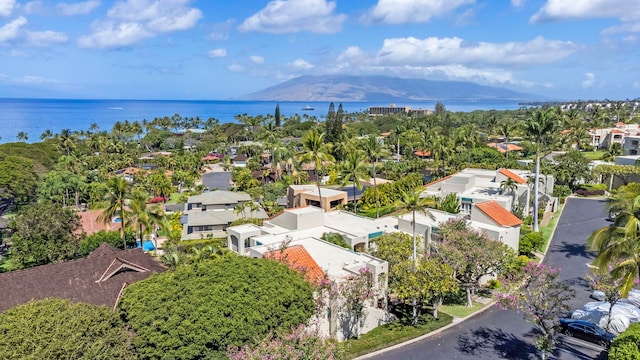 birds eye view of property featuring a water and mountain view