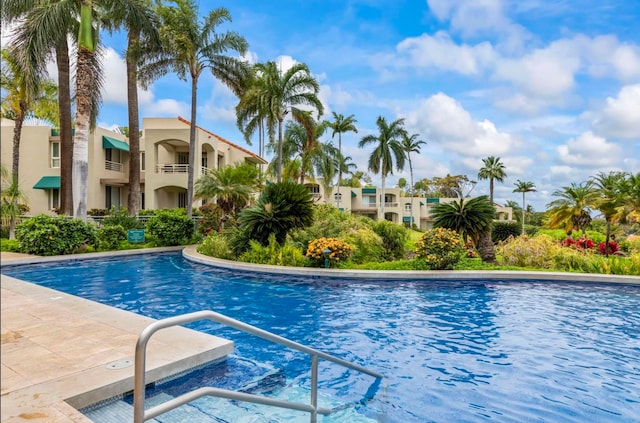 view of swimming pool