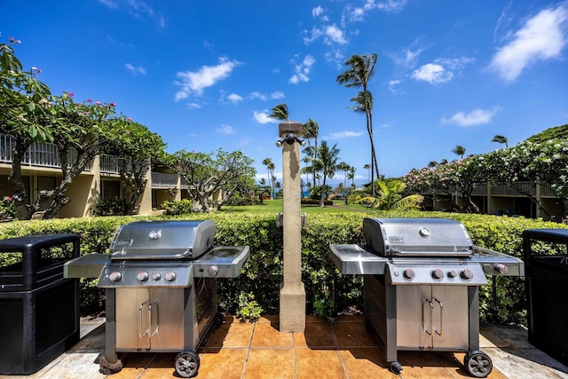 5315 Lower Honoapiilani Rd Unit D224, Lahaina, HI 96761 - view of patio / terrace featuring a grill