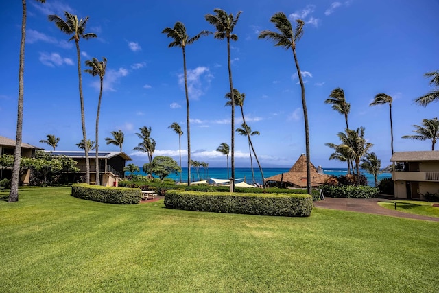 5315 Lower Honoapiilani Rd Unit D224, Lahaina, HI 96761 - view of community with a lawn and a water view