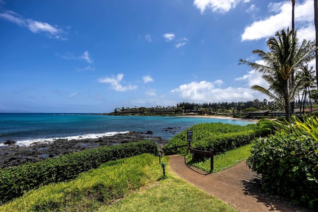 5315 Lower Honoapiilani Rd Unit D224, Lahaina, HI 96761 - water view