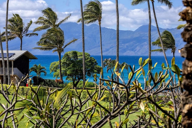 5315 Lower Honoapiilani Rd Unit D224, Lahaina, HI 96761 - water view featuring mountains