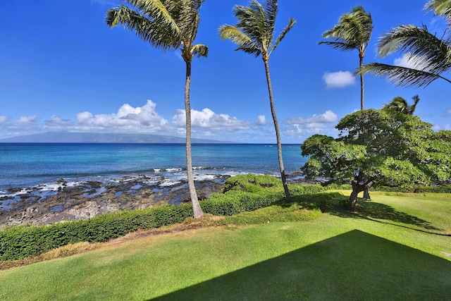 5315 Lower Honoapiilani Rd Unit D224, Lahaina, HI 96761 - water view