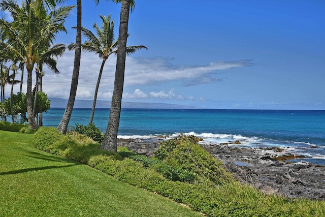 5315 Lower Honoapiilani Rd Unit D224, Lahaina, HI 96761 - water view