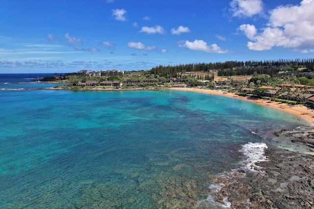 5315 Lower Honoapiilani Rd Unit D224, Lahaina, HI 96761 - water view with nearby beach