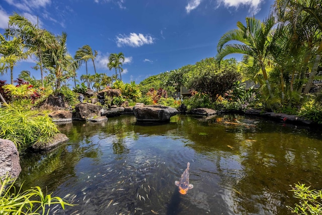5315 Lower Honoapiilani Rd Unit D224, Lahaina, HI 96761 - water view with a garden pond