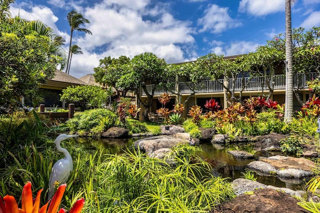5315 Lower Honoapiilani Rd Unit D224, Lahaina, HI 96761 - view of yard featuring a small pond