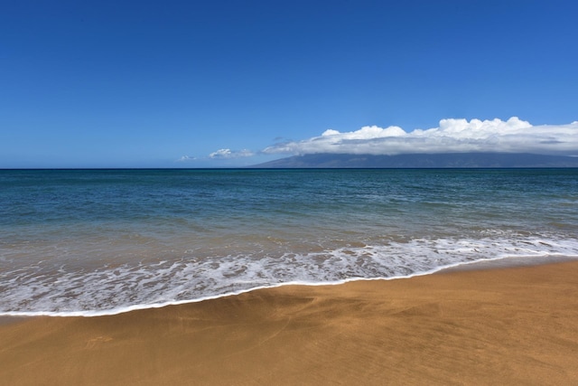 property view of water featuring a view of the beach