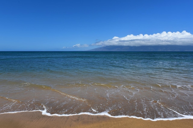 water view featuring a view of the beach