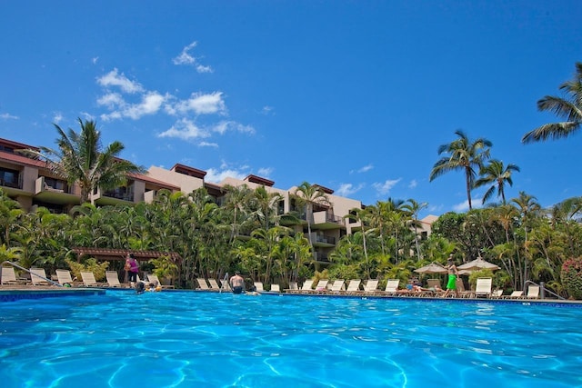 view of swimming pool