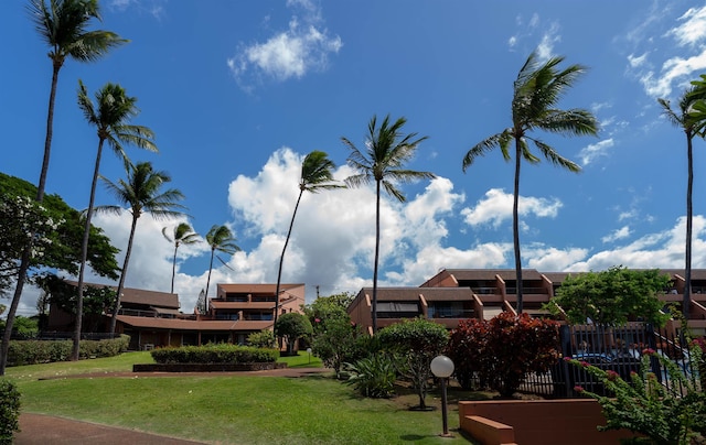 view of home's community featuring a yard