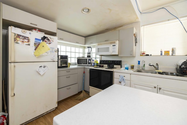 kitchen featuring hardwood / wood-style flooring, sink, white cabinets, and white appliances