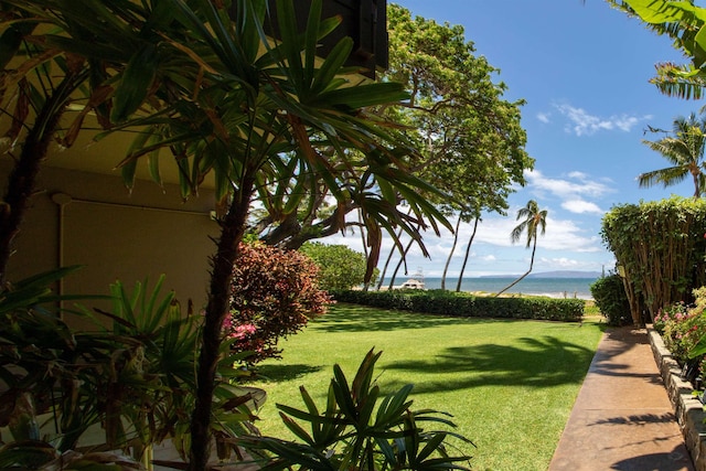 2230 S Kihei Rd Unit 9, Kihei, HI 96753 - view of grassy yard featuring a water view