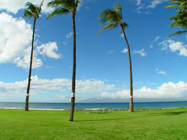 view of property's community with a water view and a yard