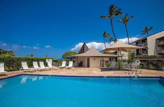 view of swimming pool with a patio