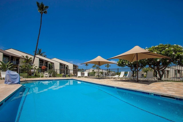 view of swimming pool featuring a patio area