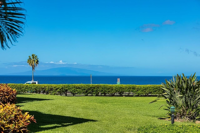 view of community with a water view and a yard