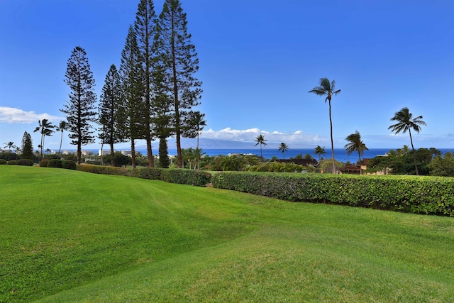 view of home's community with a lawn