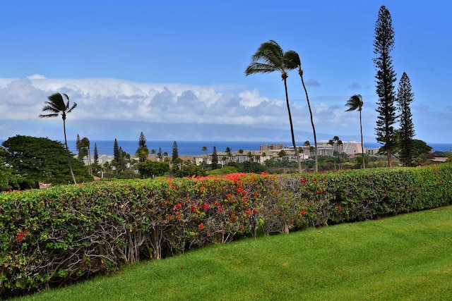 view of yard featuring a water view