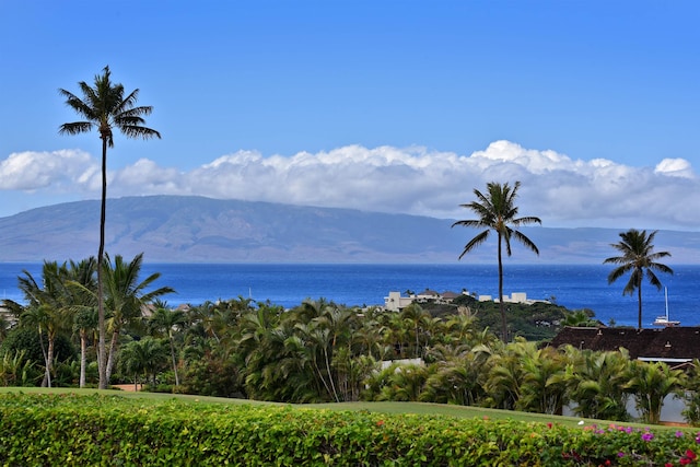 view of mountain feature with a water view