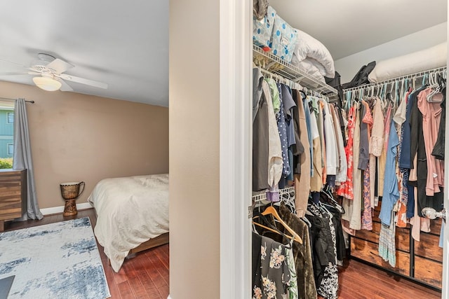 walk in closet with ceiling fan and hardwood / wood-style flooring