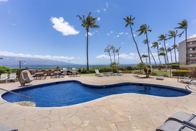 view of swimming pool with a patio area