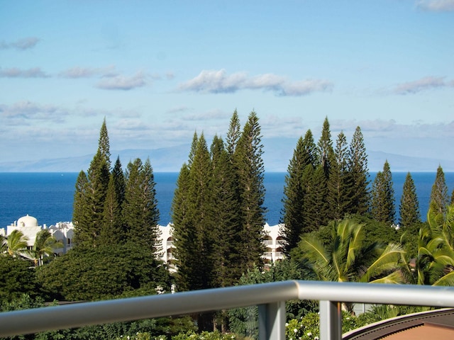 view of water feature