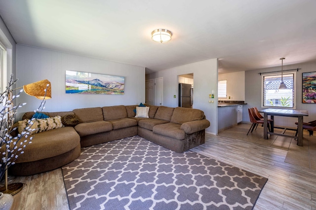 living room featuring wood-type flooring