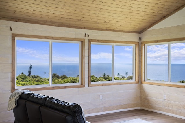 34701 Piilani Hwy, Hana, HI 96713 - unfurnished sunroom with a water view, wood finished floors, wood ceiling, healthy amount of natural light, and lofted ceiling