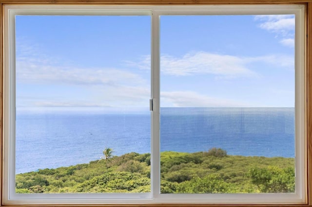 34701 Piilani Hwy, Hana, HI 96713 - water view