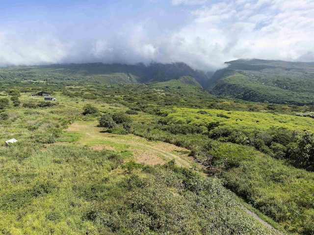 34701 Piilani Hwy, Hana, HI 96713 - mountain view