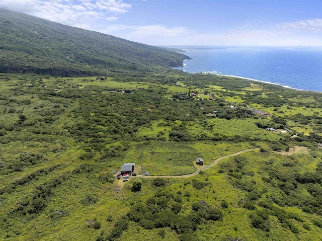 34701 Piilani Hwy, Hana, HI 96713 - drone / aerial view of a large body of water