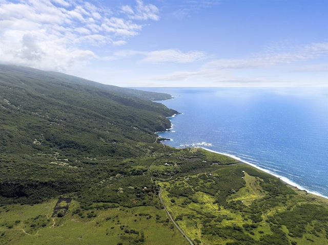 34701 Piilani Hwy, Hana, HI 96713 - drone / aerial view of a nearby body of water