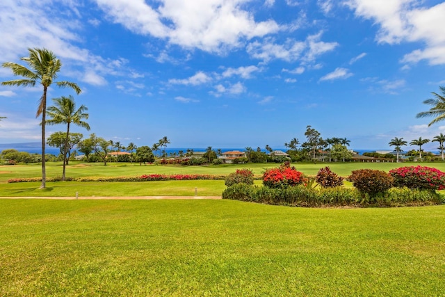 view of property's community with a lawn