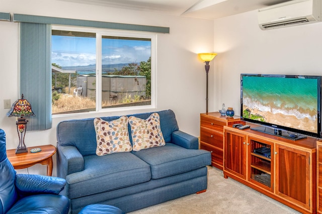 1125 Hoomau Pl, Wailuku, HI 96793 - living area featuring a wall mounted AC and light carpet