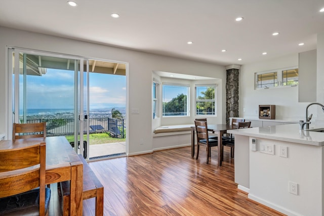 kitchen featuring hardwood / wood-style flooring, a healthy amount of sunlight, and sink